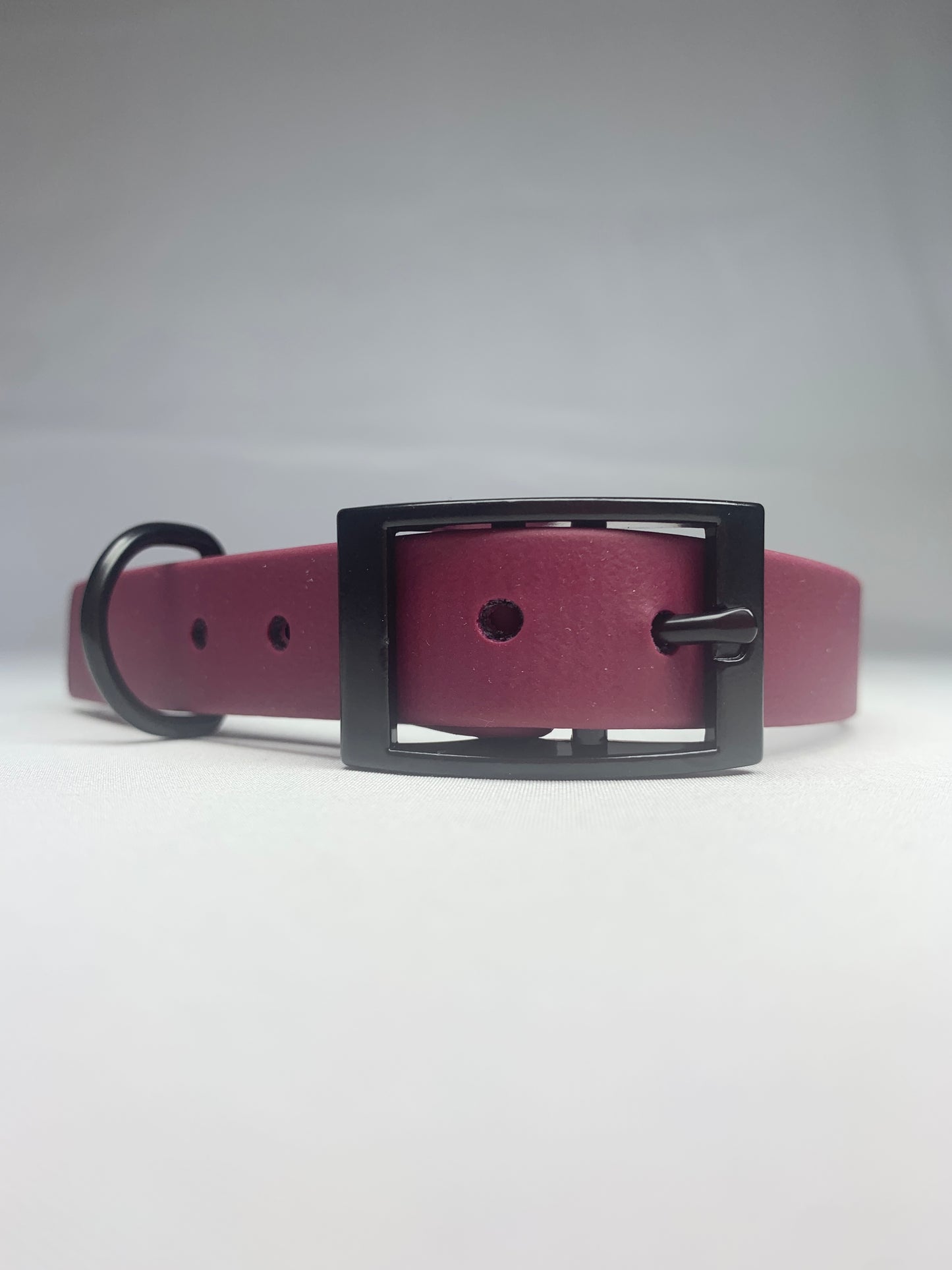 Chester Biothane Collar