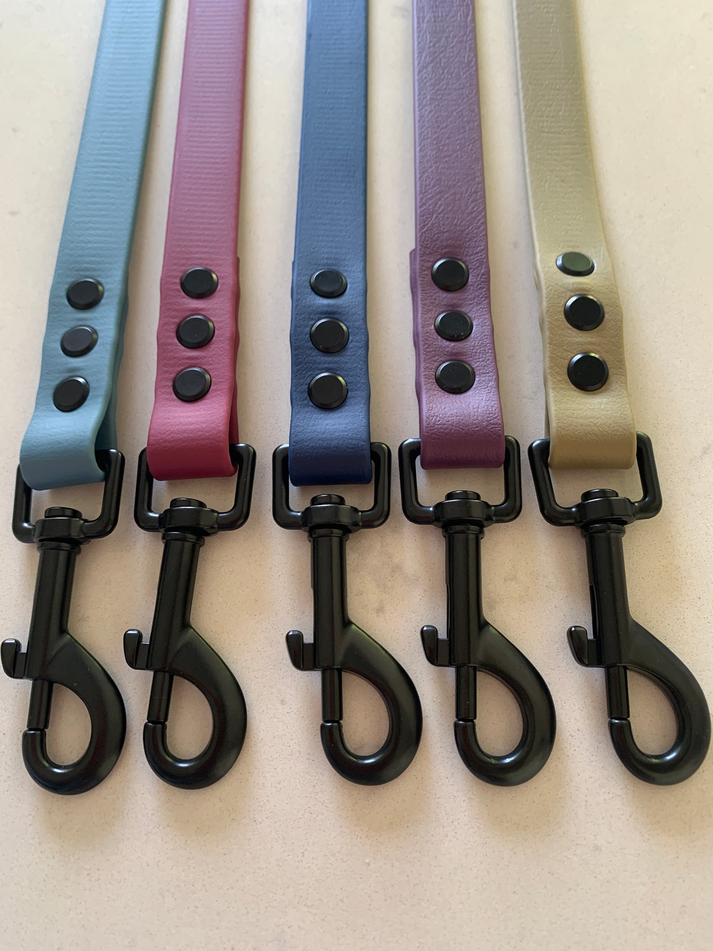 Chester Biothane Lead