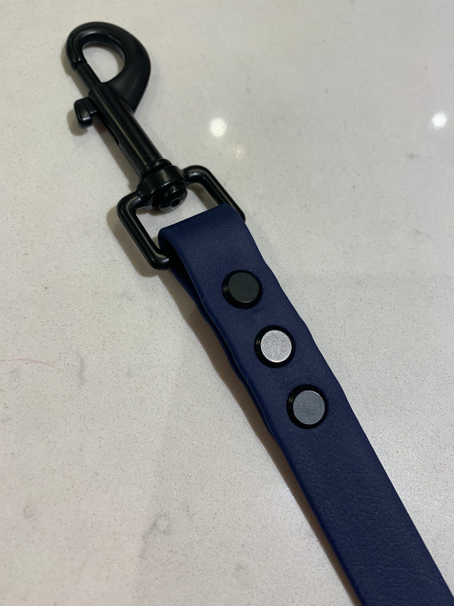 Chester Biothane Lead