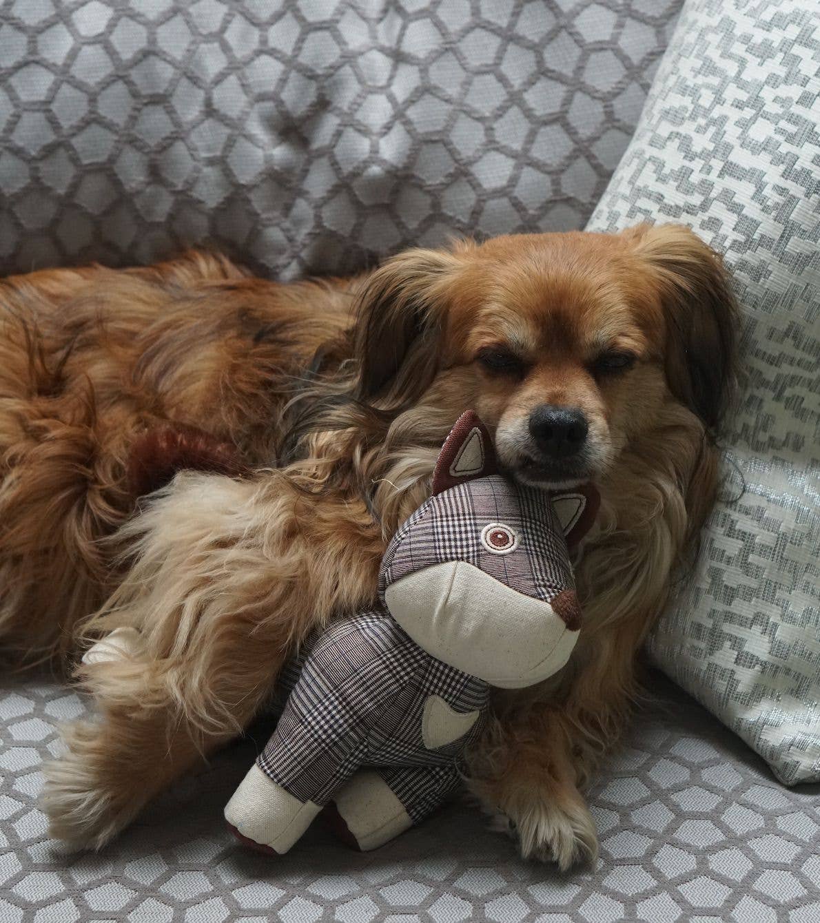 Fredster Fox Tweed Dog Toy