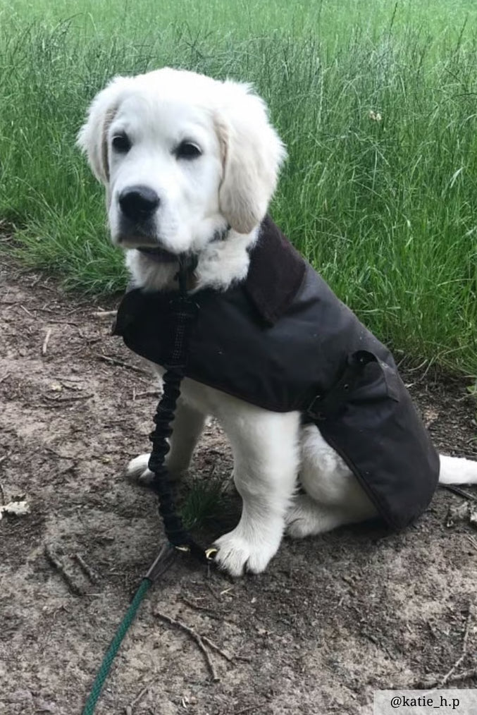 Louis Waxed Dog Coat