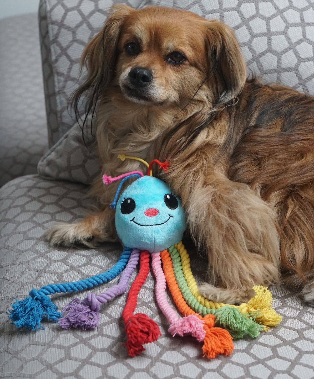 Rainbow Octopus Dog Toy