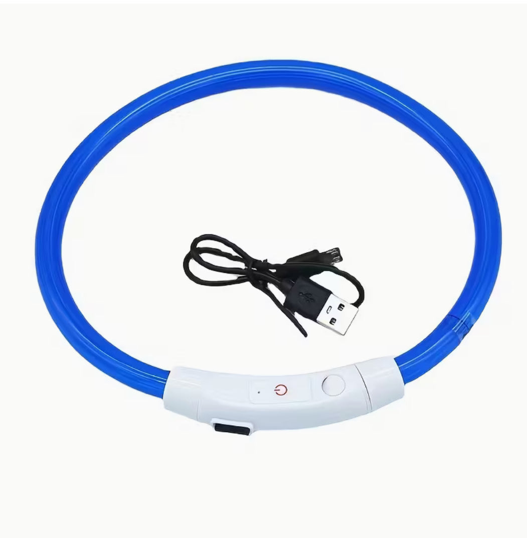Rechargeable Light-Up Collar (Adjustable Fit)