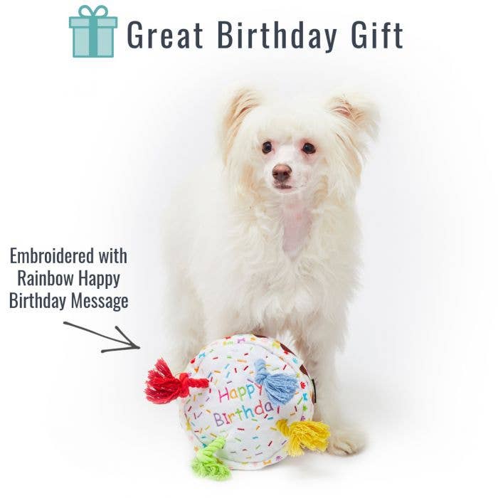 Happy Birthday Cake Plush dog toy with rope candles small
