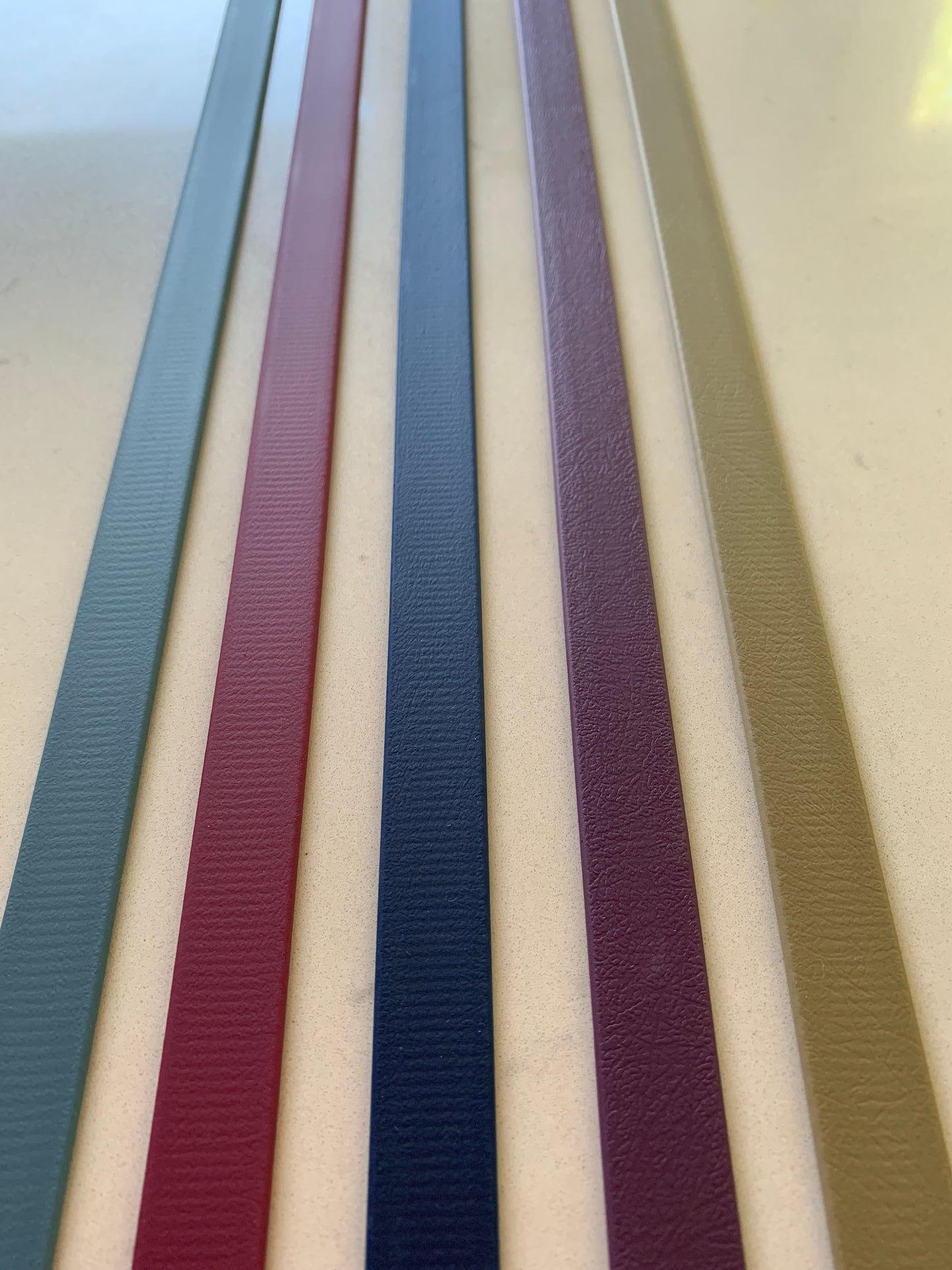 Chester Biothane Lead