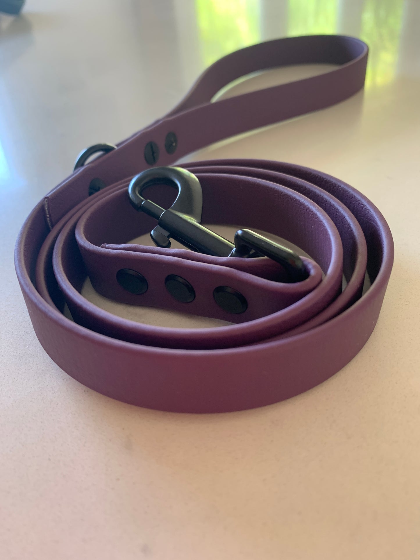 Chester Biothane Lead