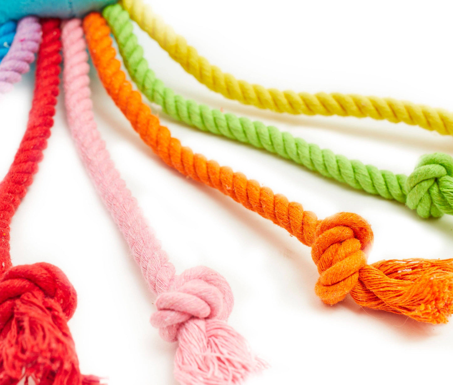 Rainbow Octopus Dog Toy