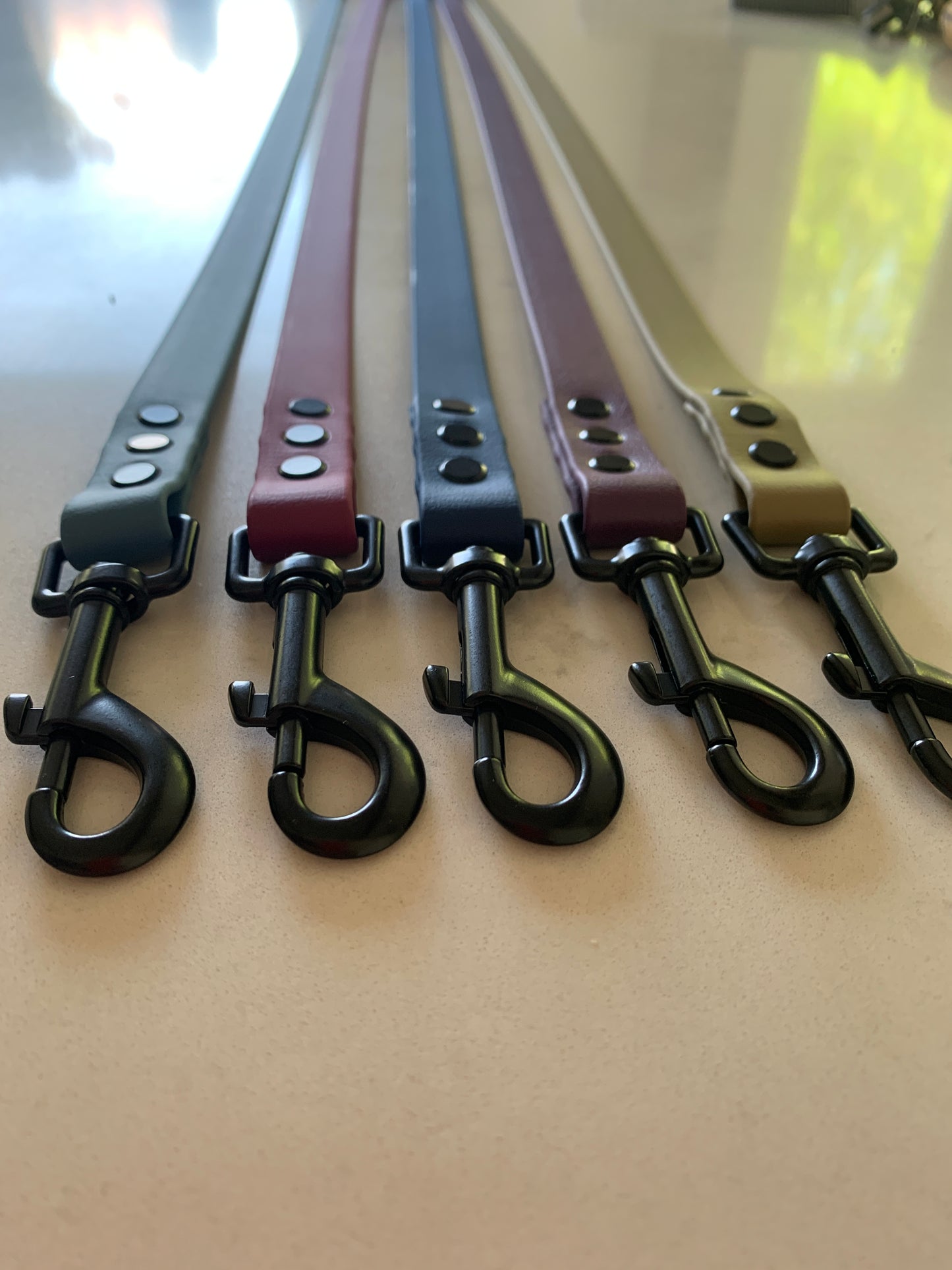 Chester Biothane Lead