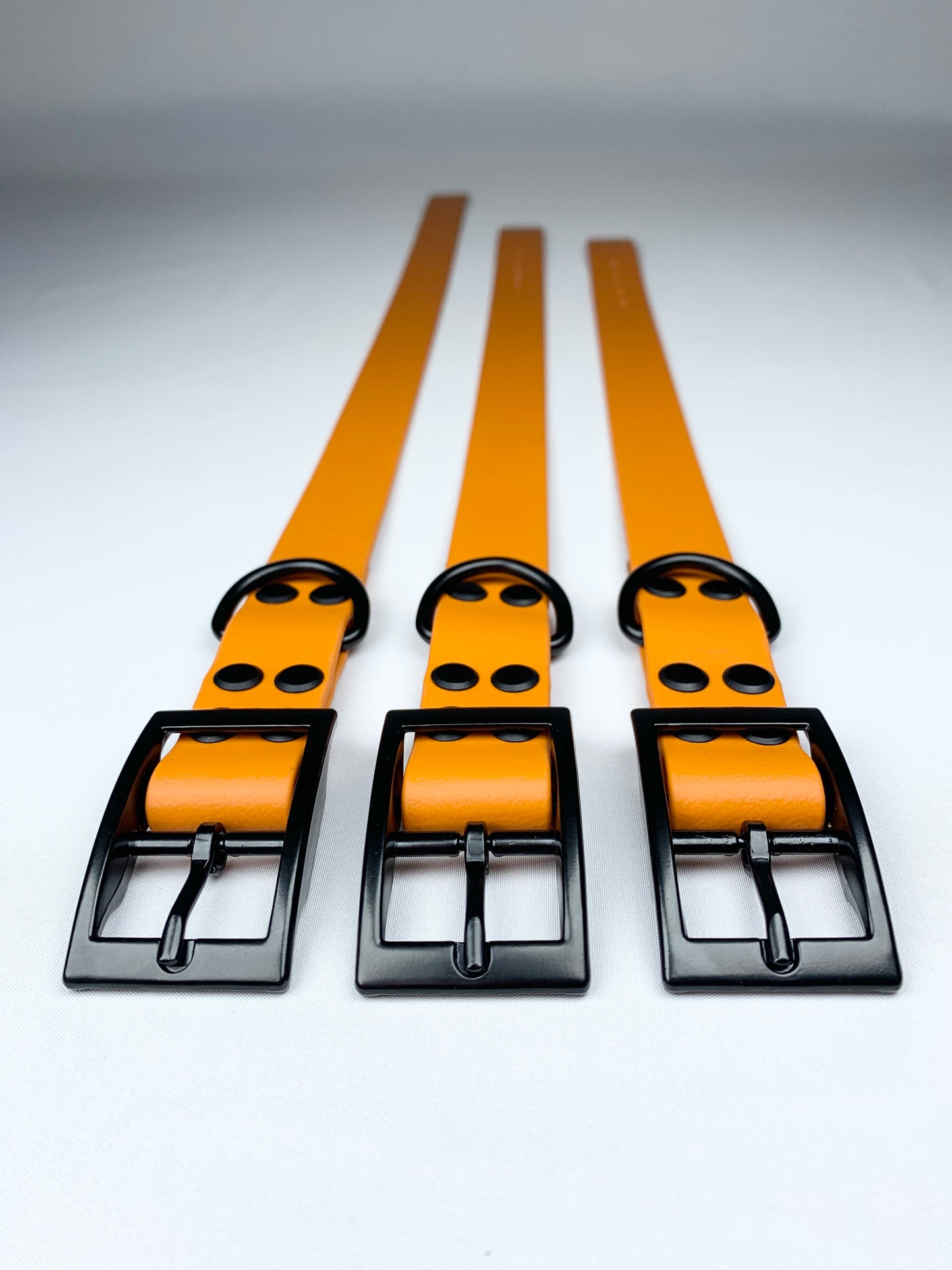 Chester Biothane Collar