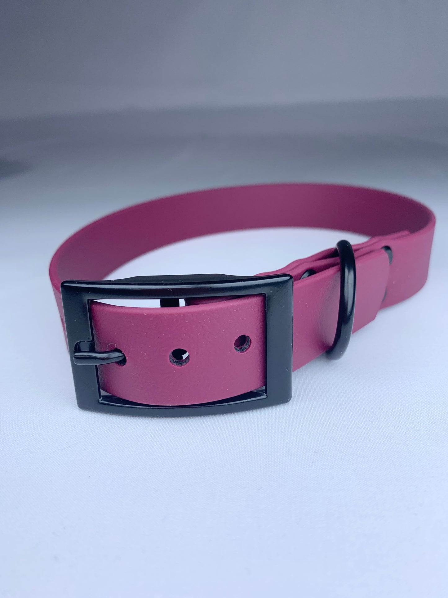 Chester Biothane Collar