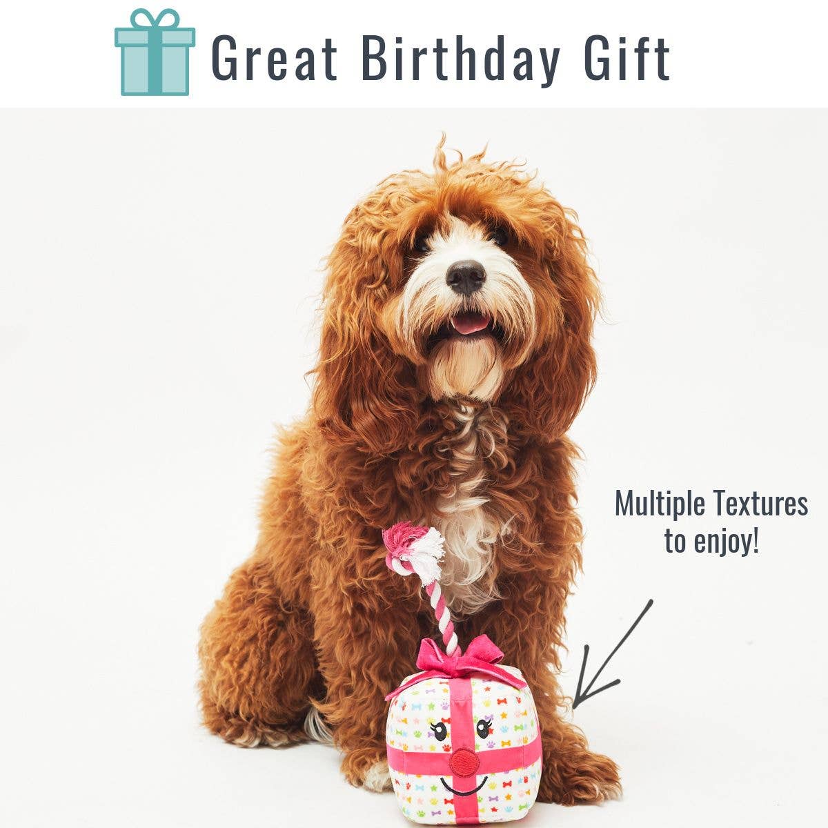 Present Tug Dog Celebration Toy