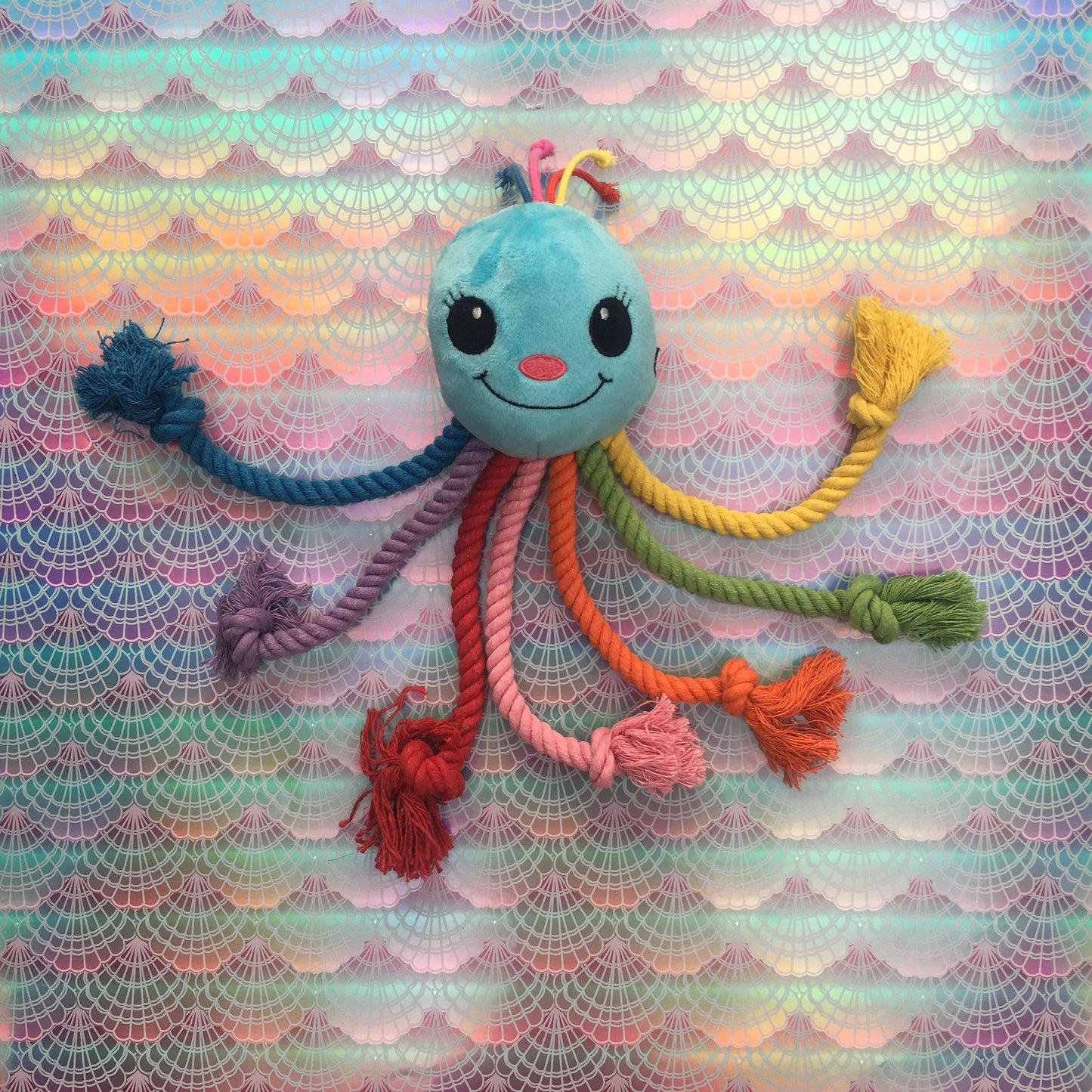 Rainbow Octopus Dog Toy