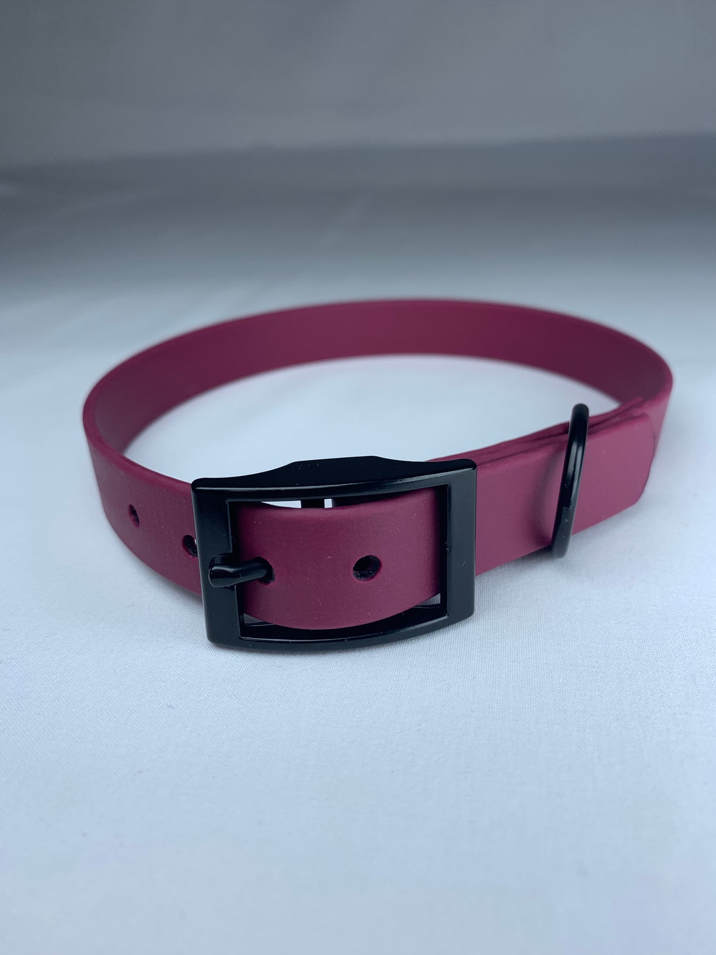 Chester Biothane Collar