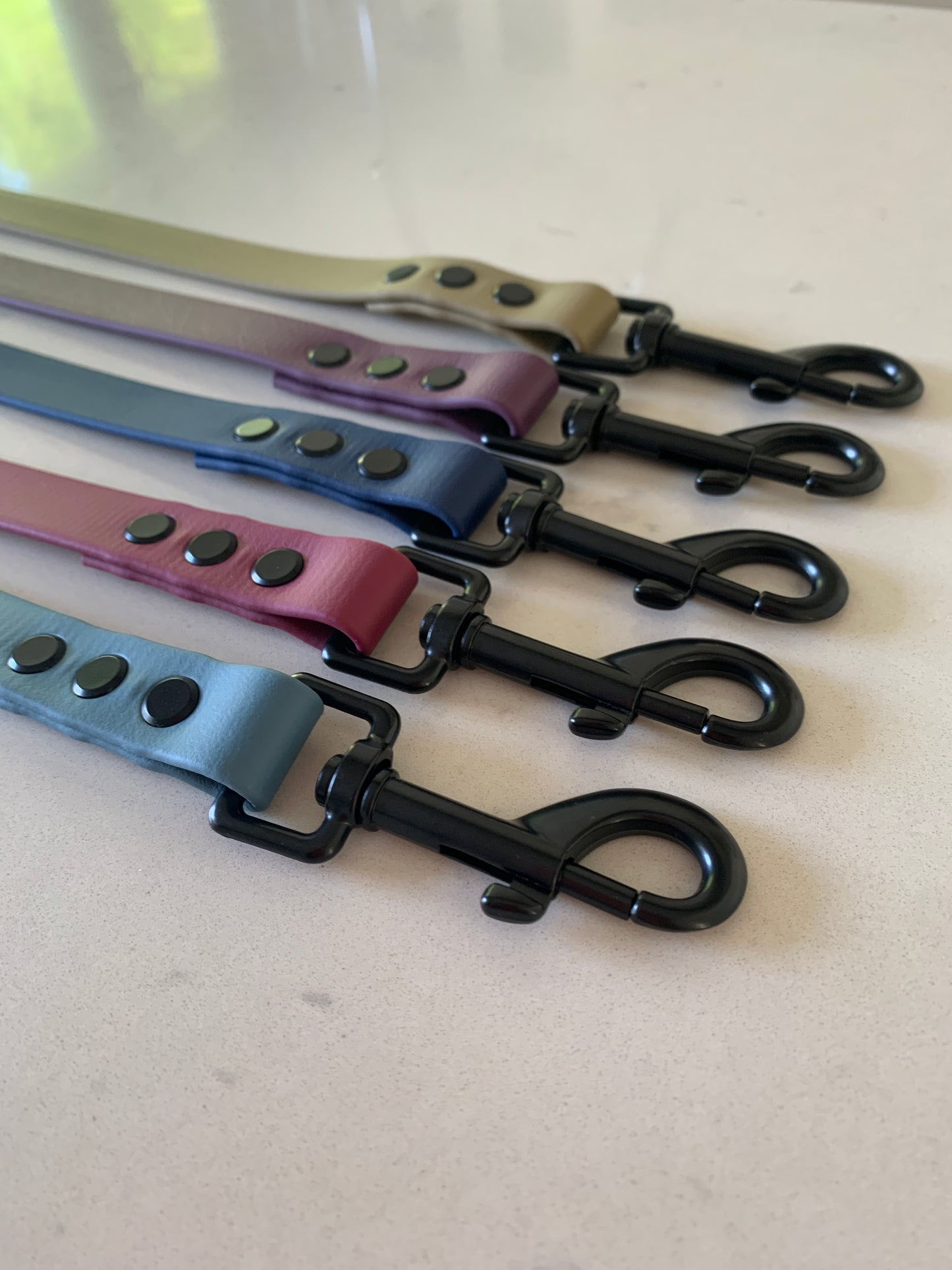 Chester Biothane Lead