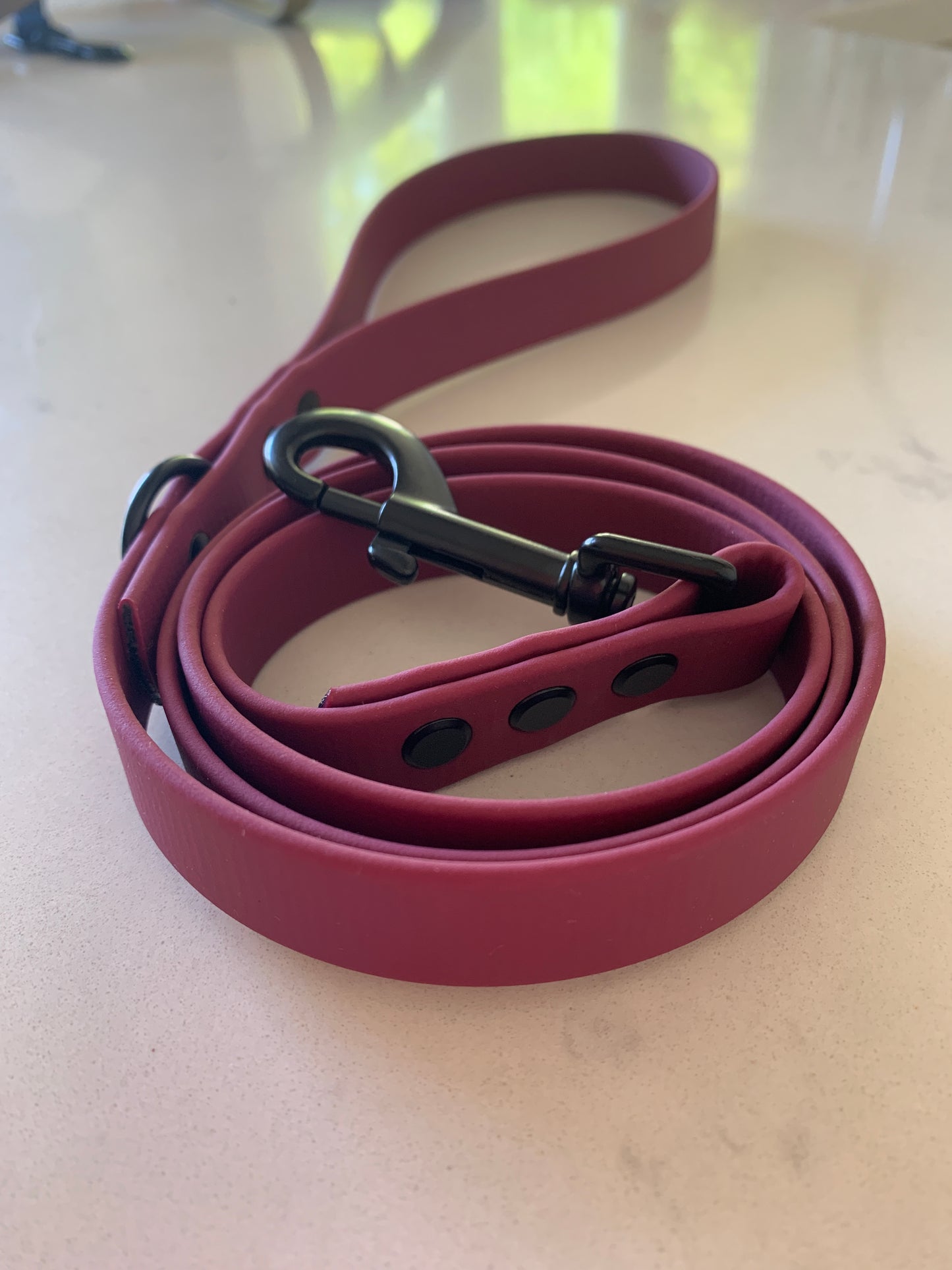 Chester Biothane Lead