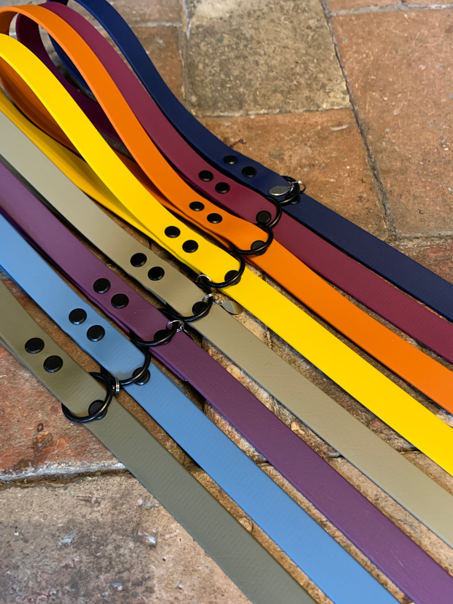 Chester Biothane Lead