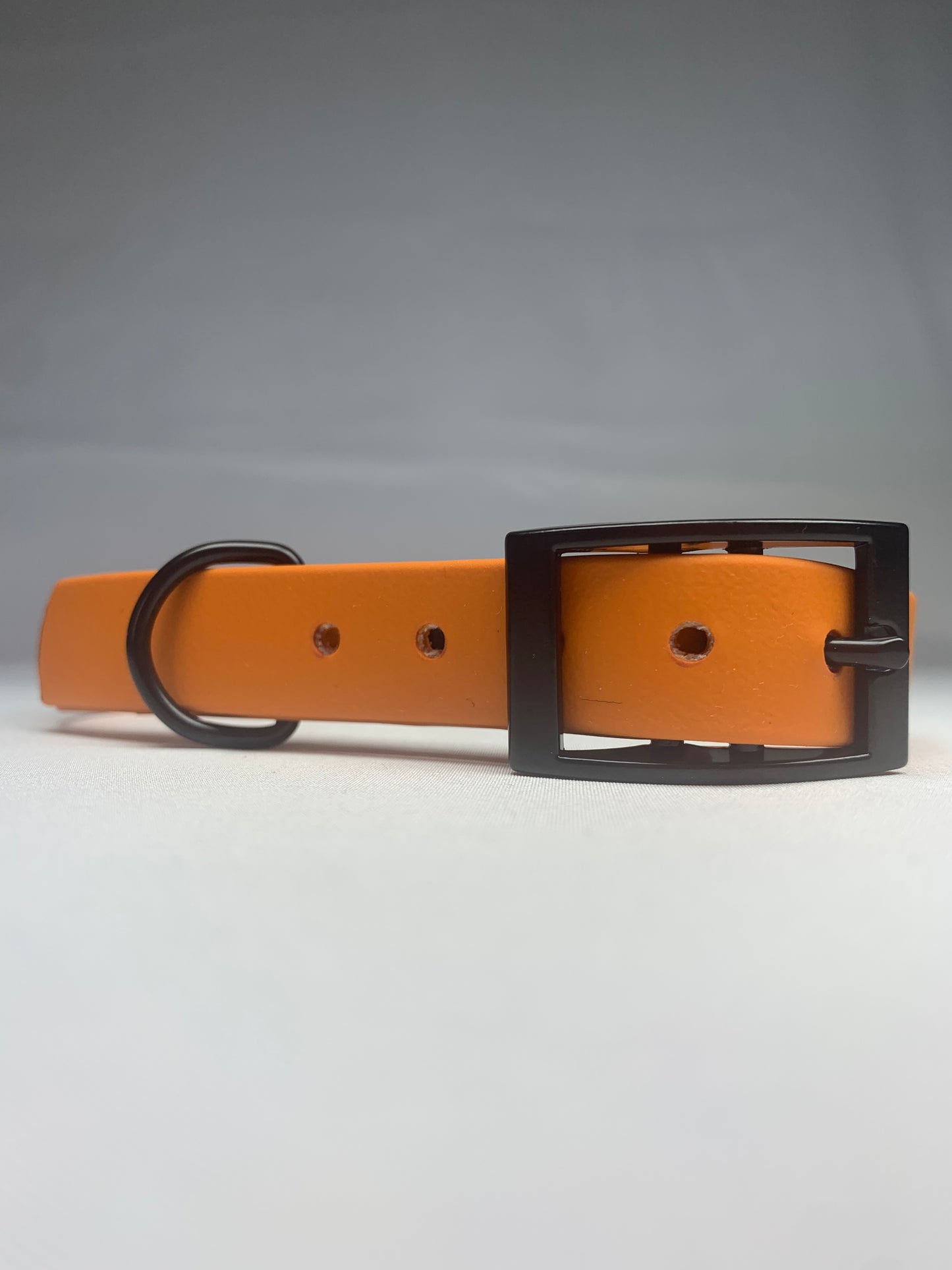 Chester Biothane Collar