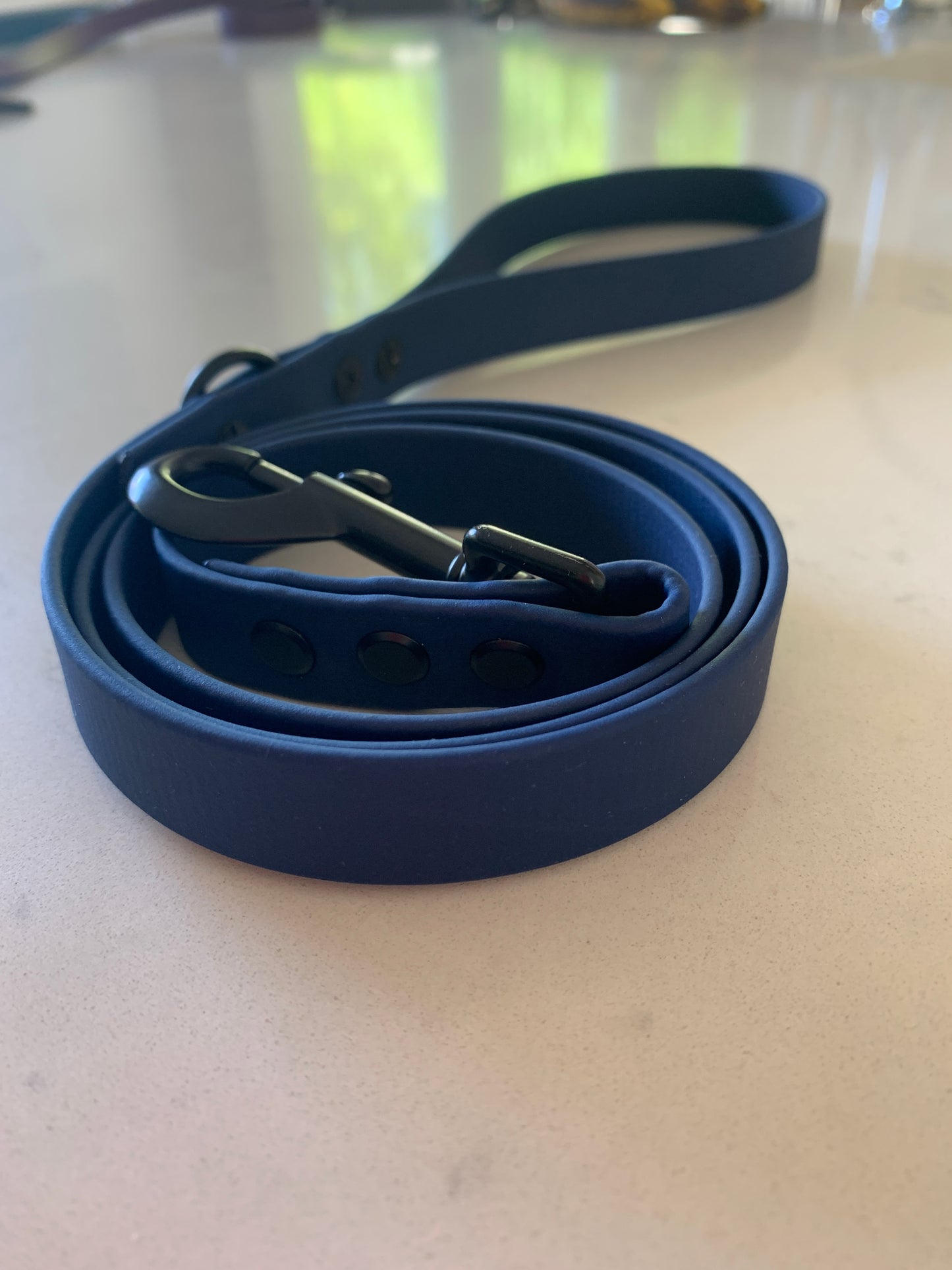Chester Biothane Lead