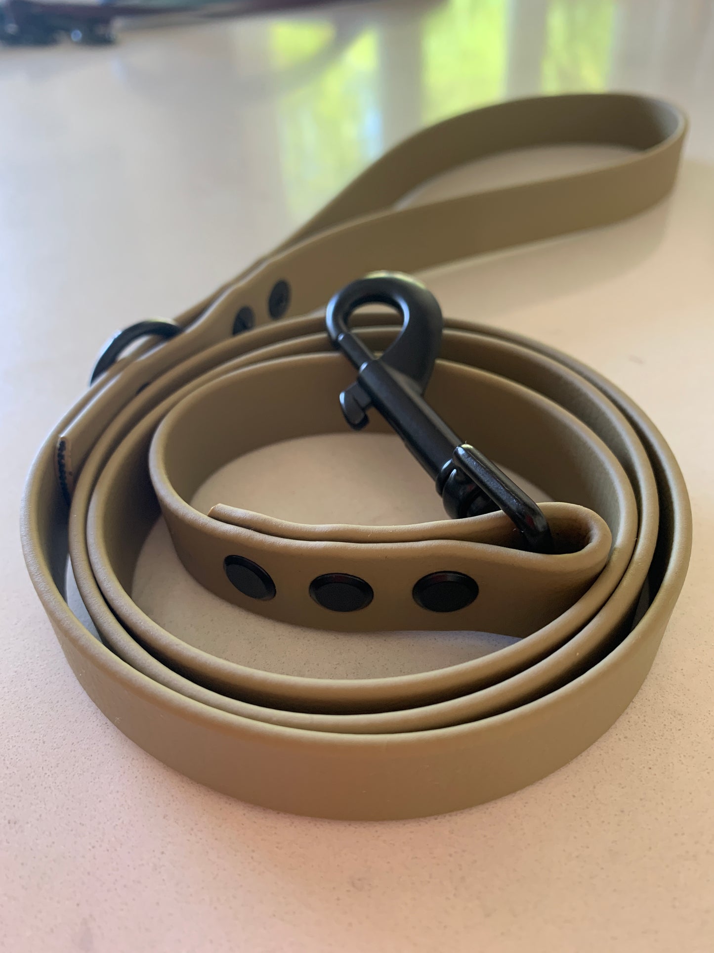 Chester Biothane Lead