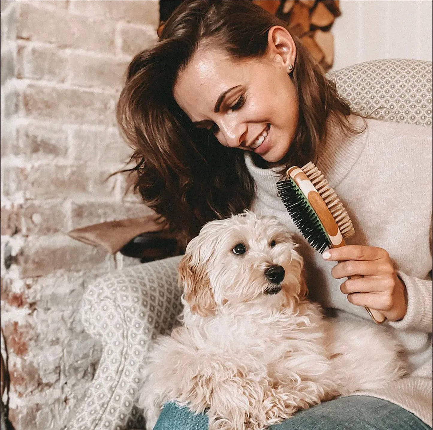 Dog Brush