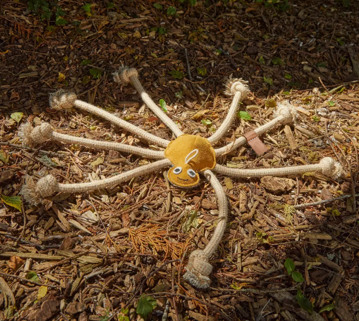 Eco Toys