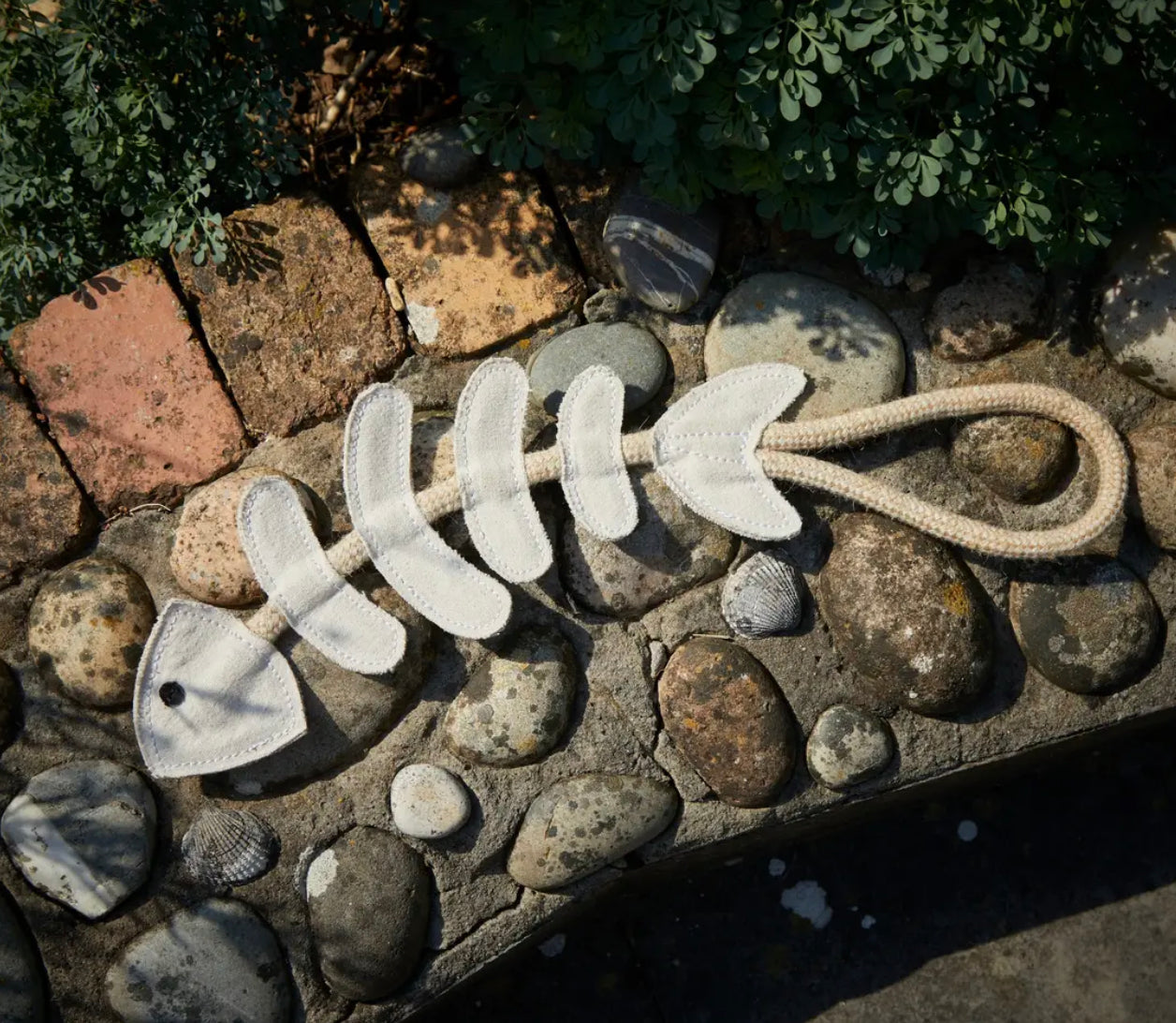 Eco Toys
