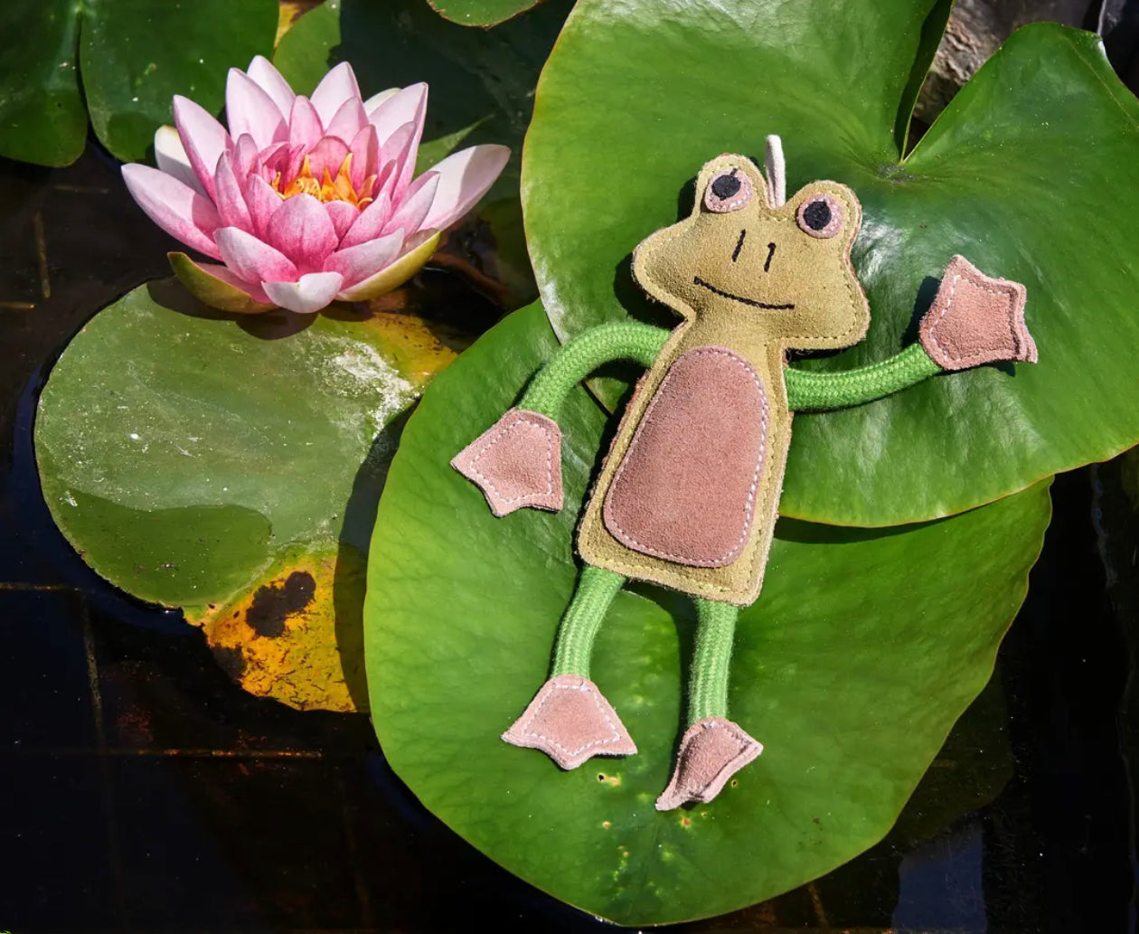 Eco Toys