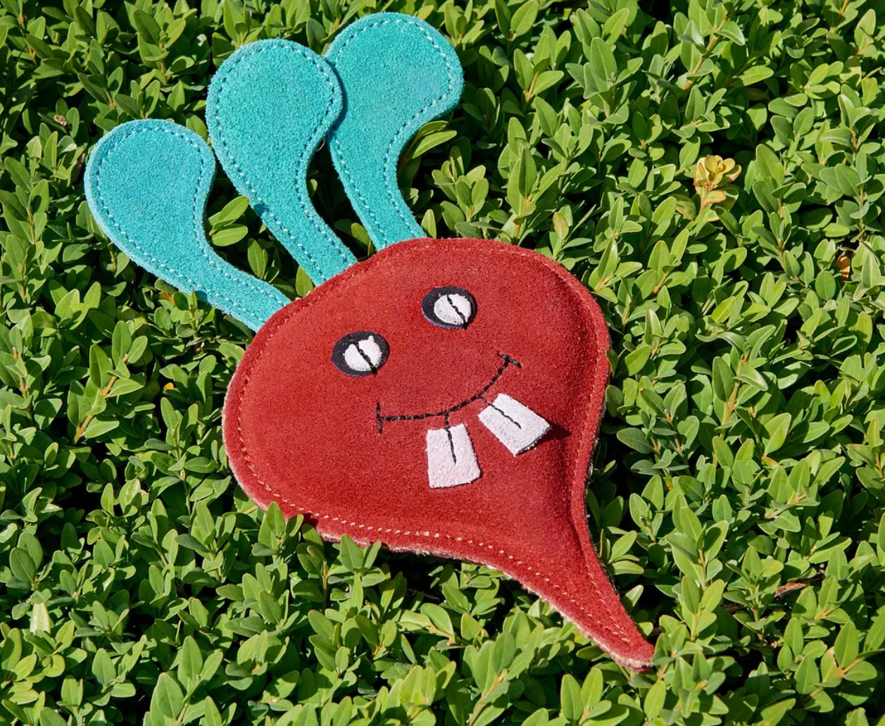 Eco Toys