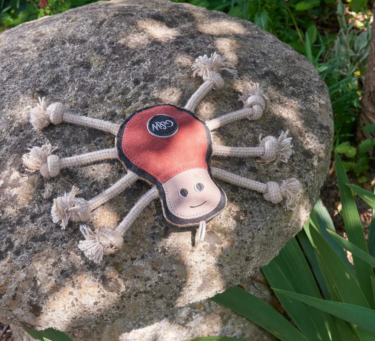 Eco Toys