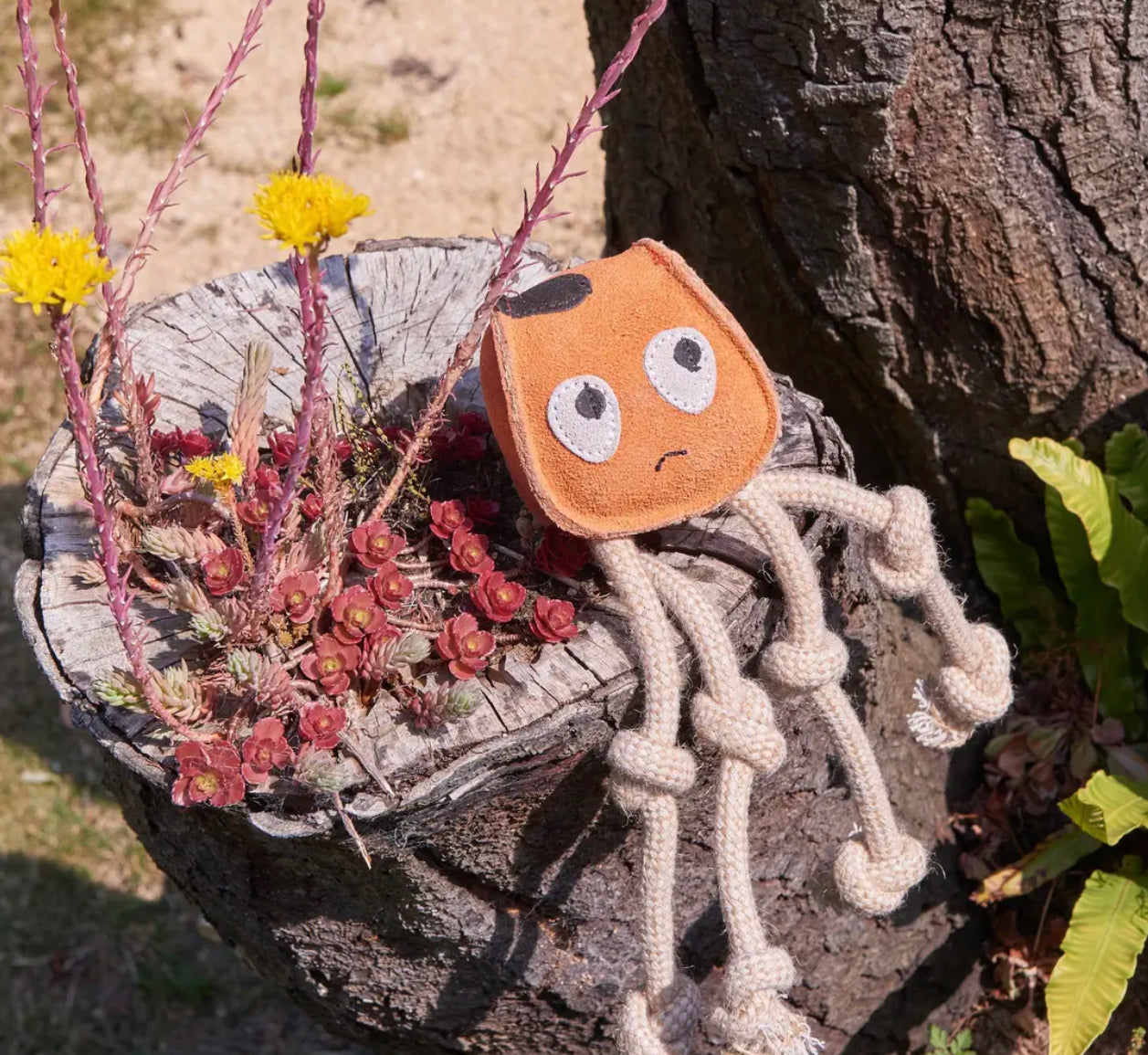 Eco Toys
