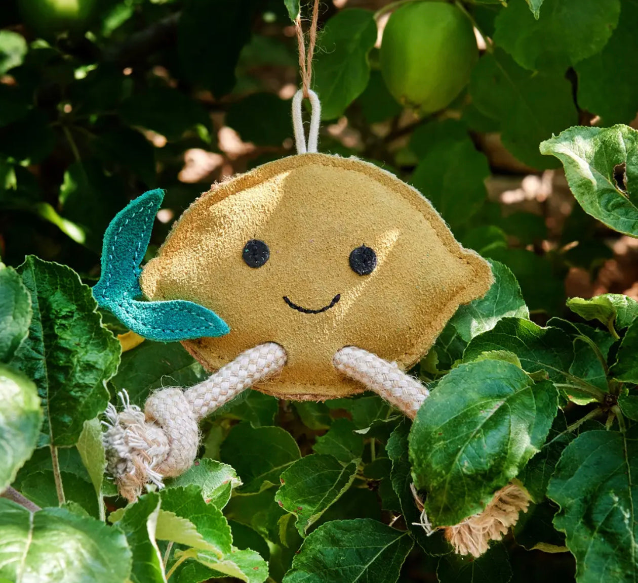 Eco Toys