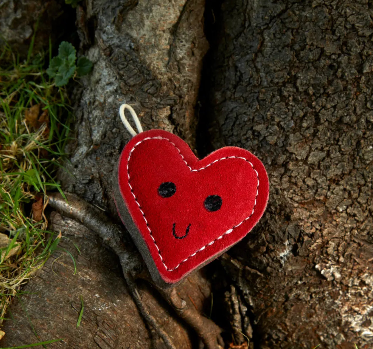 Eco Toys