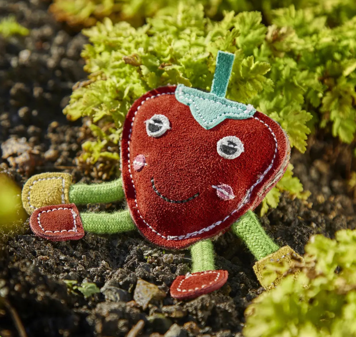 Eco Toys