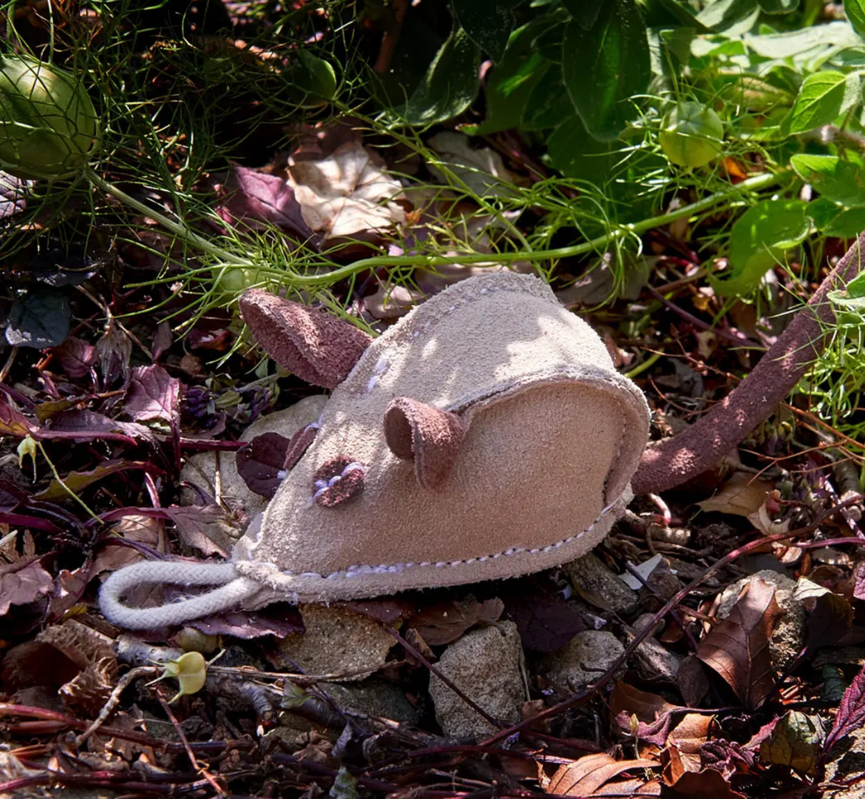 Eco Toys