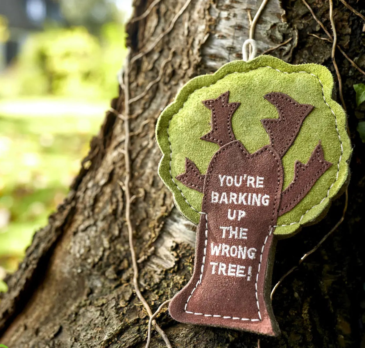 Eco Toys