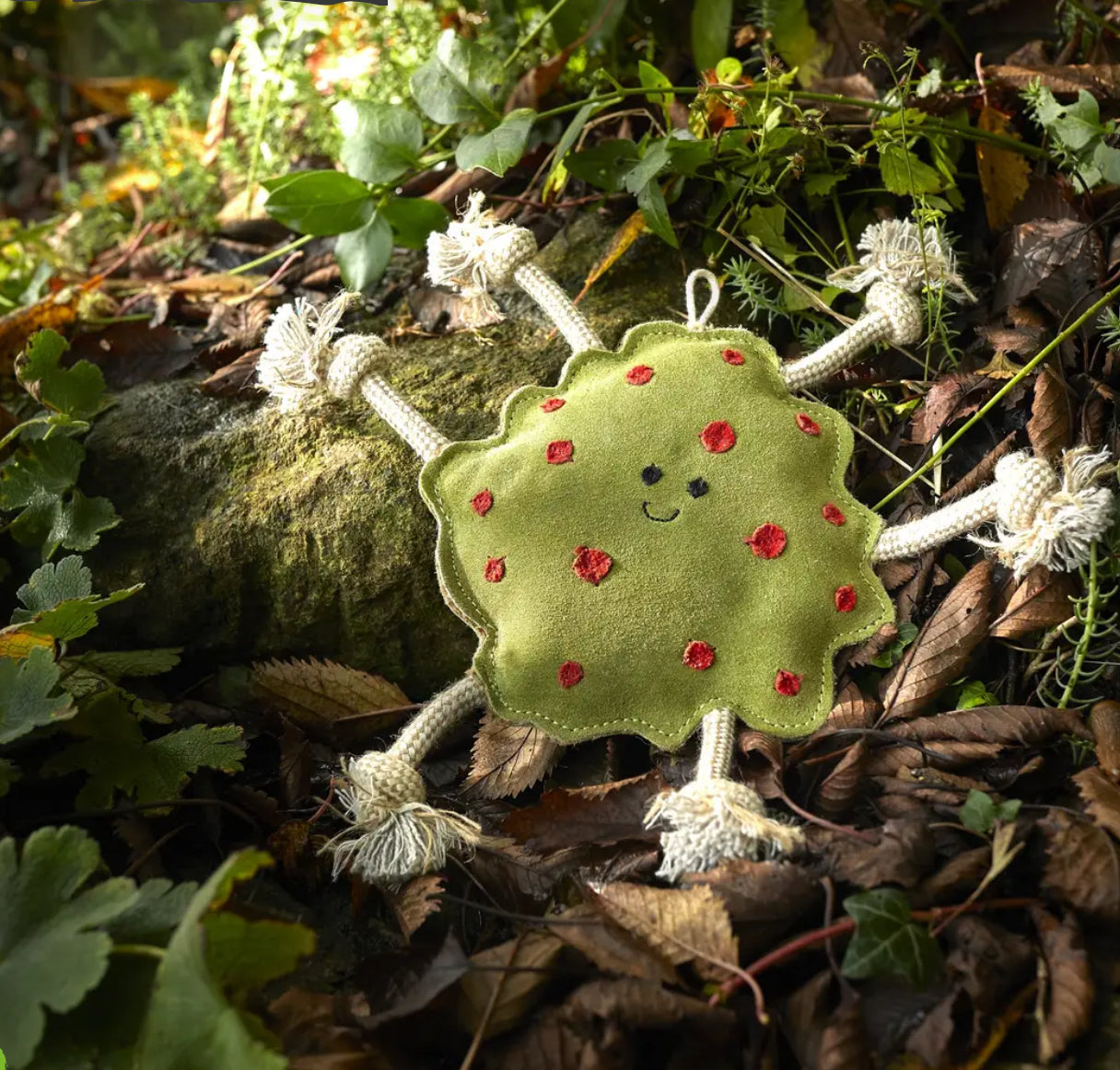 Eco Toys