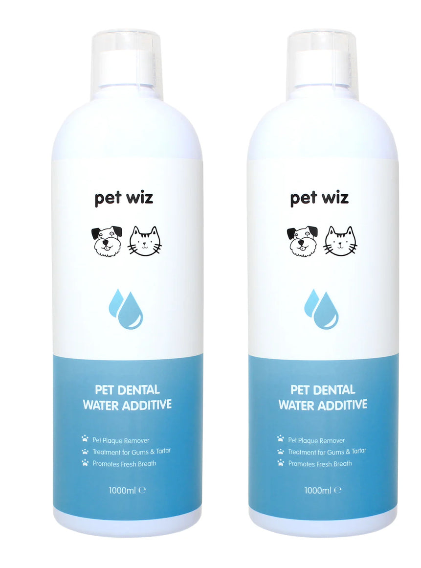 Dental Water