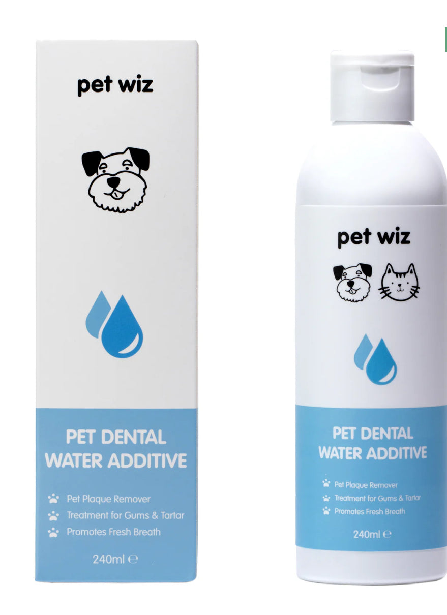 Dental Water