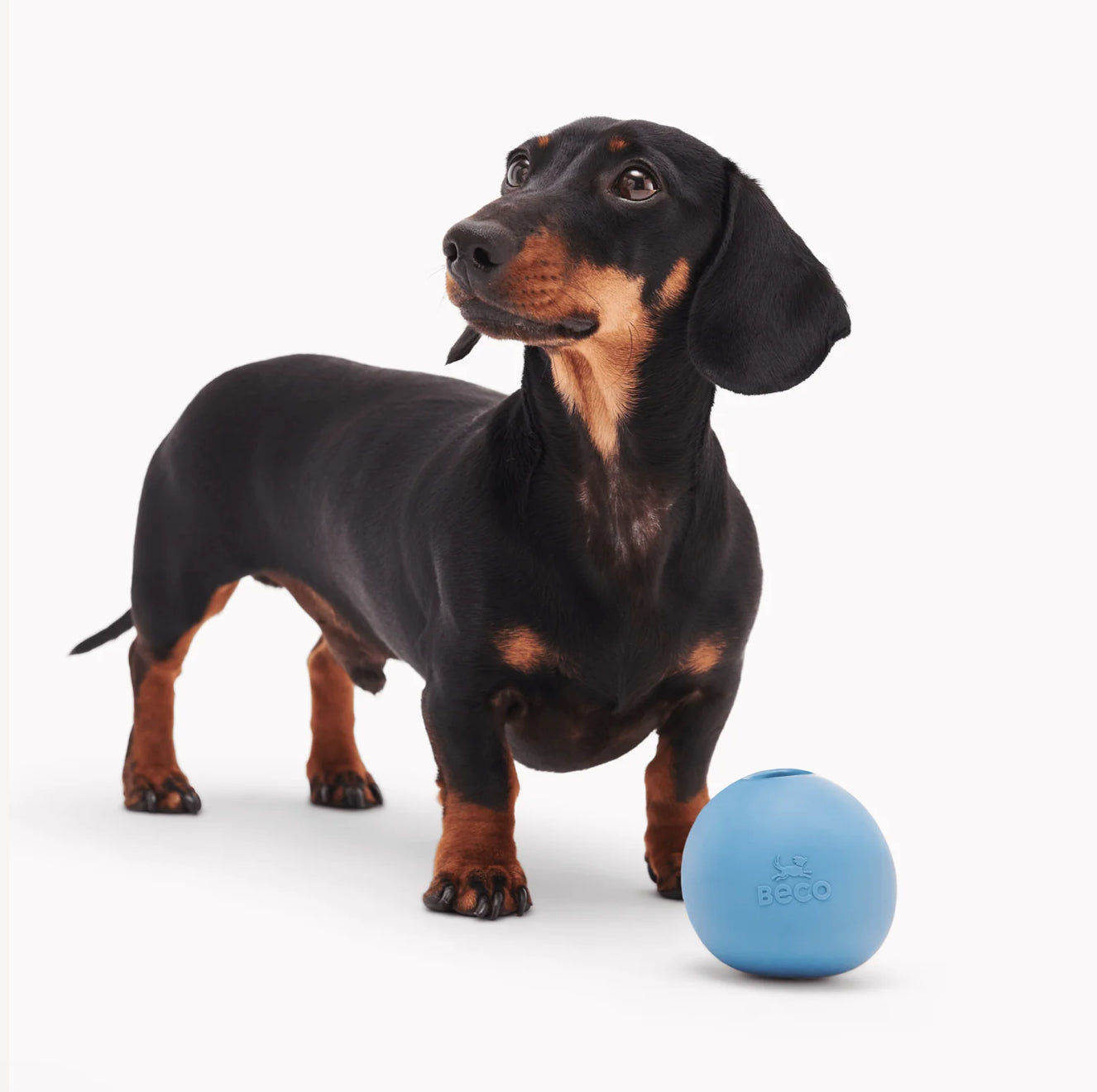Wobble Ball