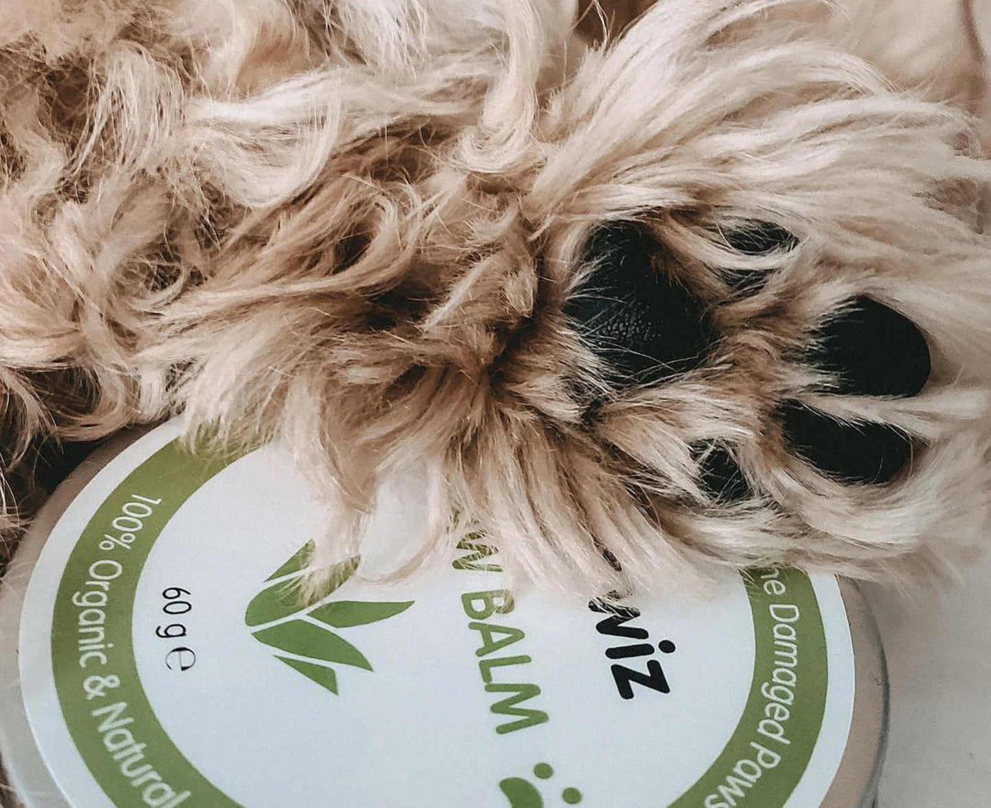 Paw Balm