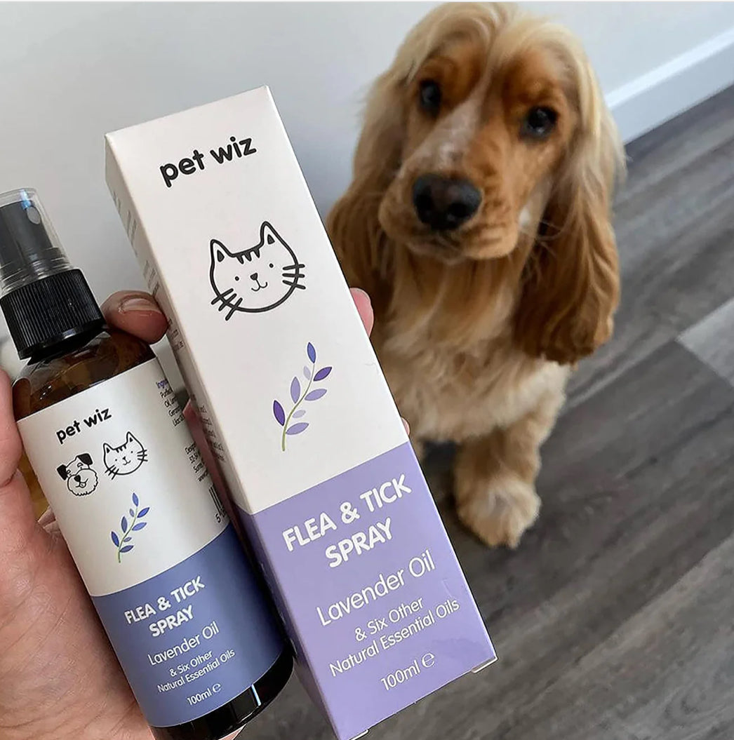 Flea & Tick Spray