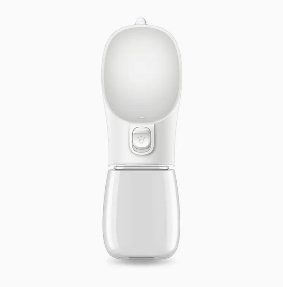 Travel Water Bottle