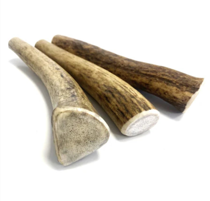 Elk Antlers