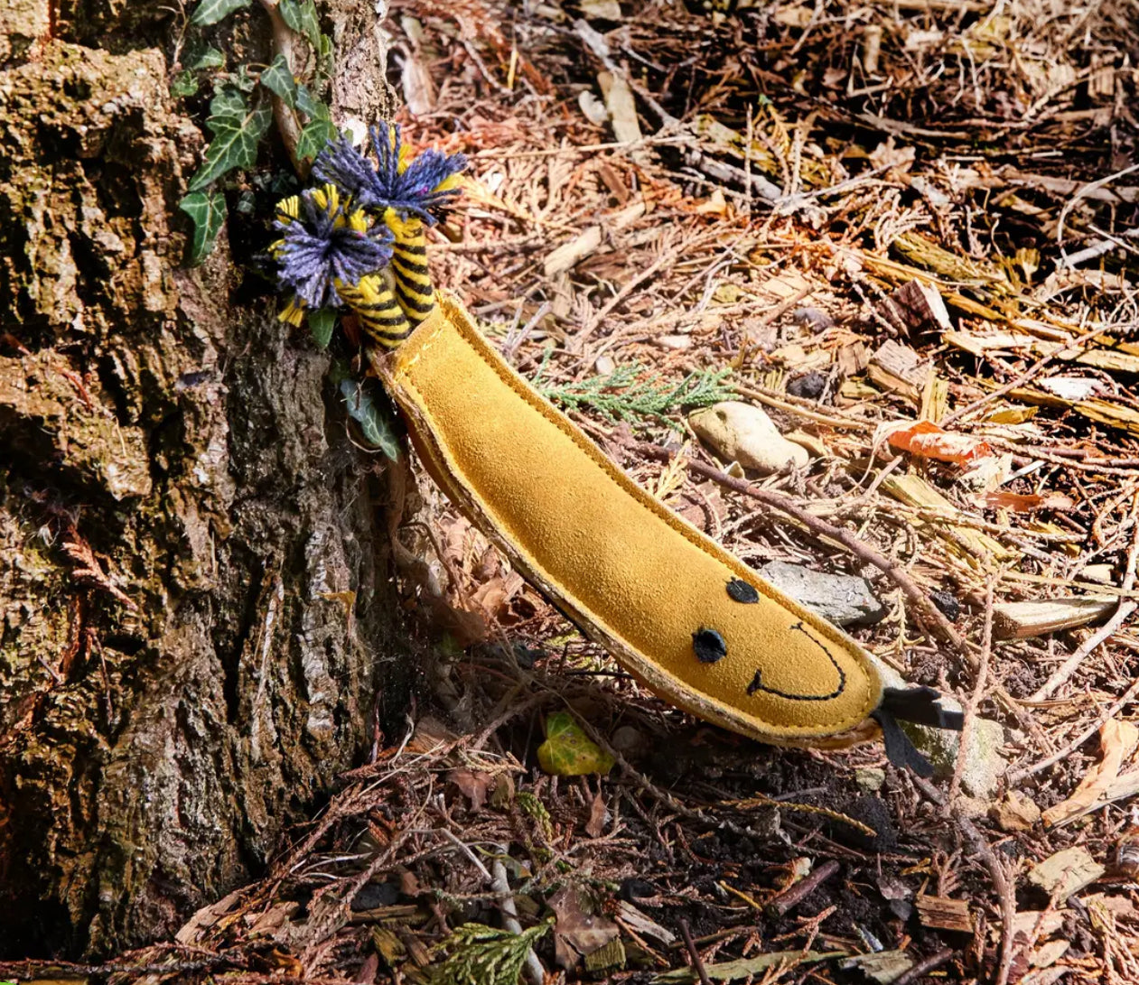 Eco Toys