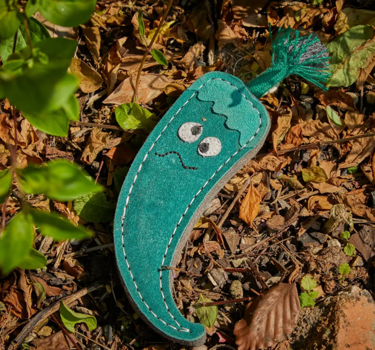Eco Toys
