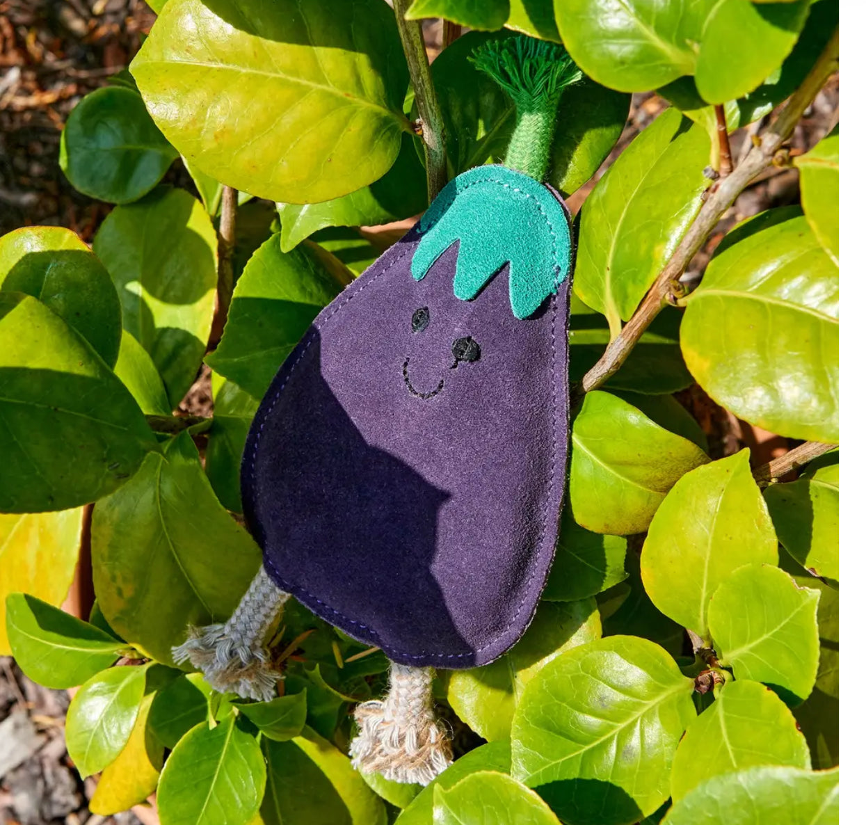 Eco Toys