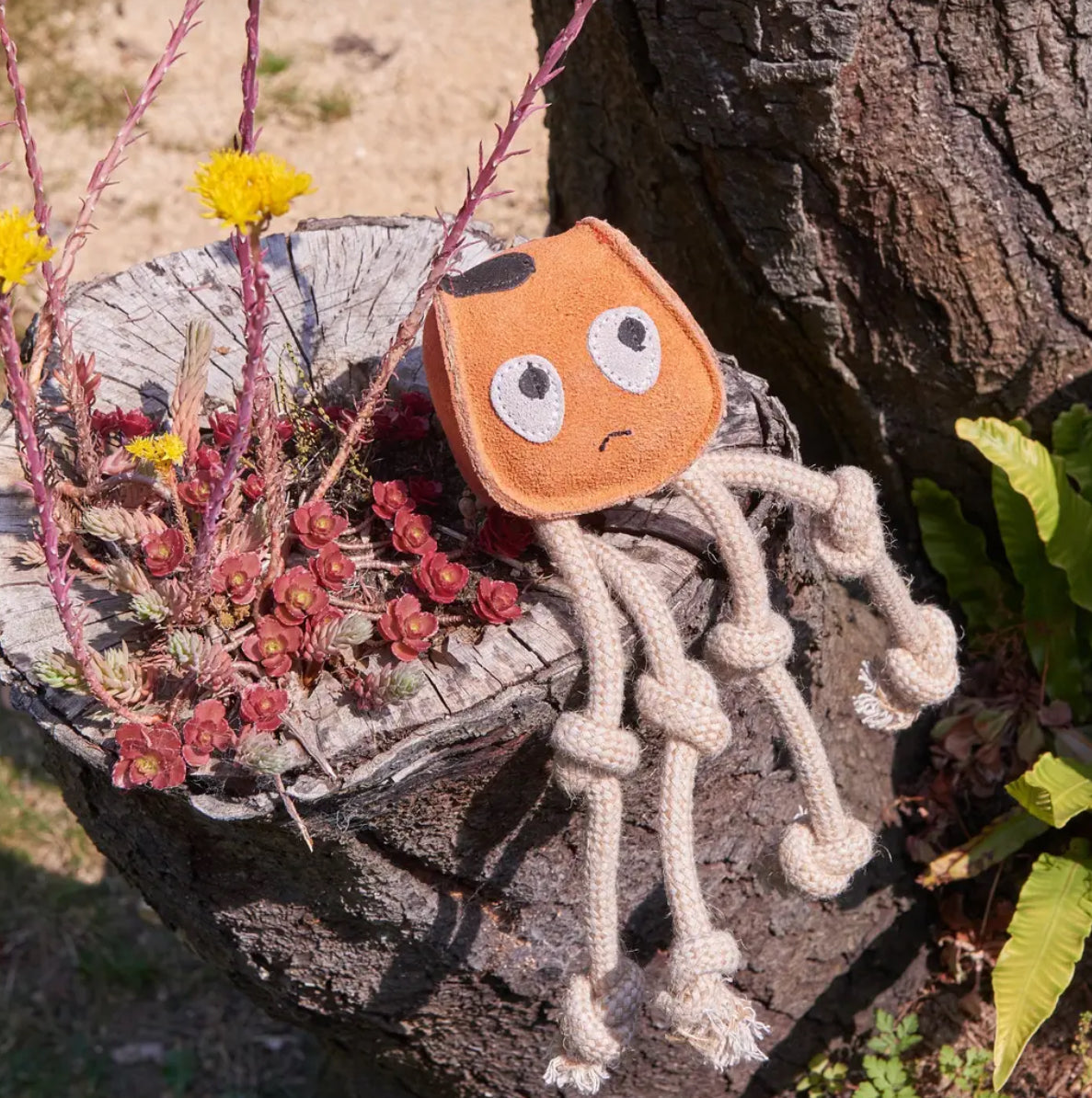 Eco Toys
