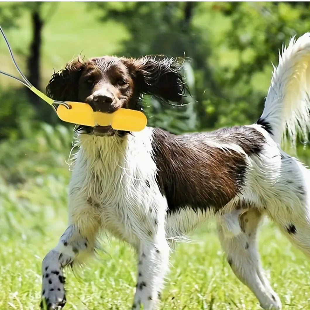 Float Dog Toy