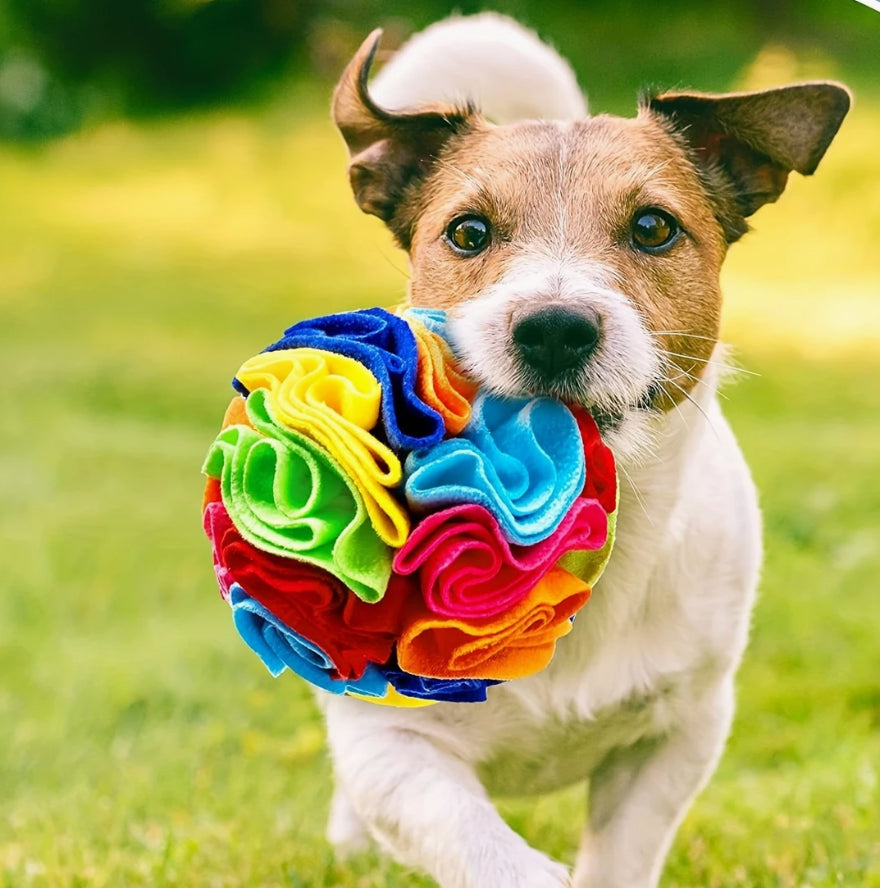 Hollibels Snuffle Toy