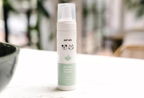 Dry Shampoo—Aloe, Coconut & Oat